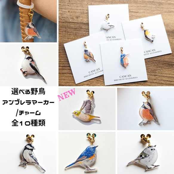 【全10種類！】選べる野鳥のアンブレラマーカー　ファスナーチャーム