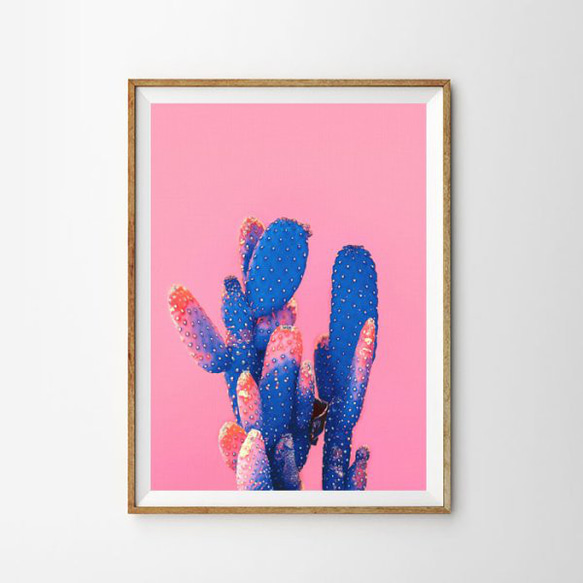 PINKY BLUE POP CACTUS サボテン ポスター