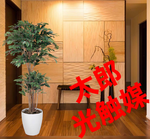 光触媒　人工観葉植物　フェイクグリーン　トロピカルベンジャミン 1.6m