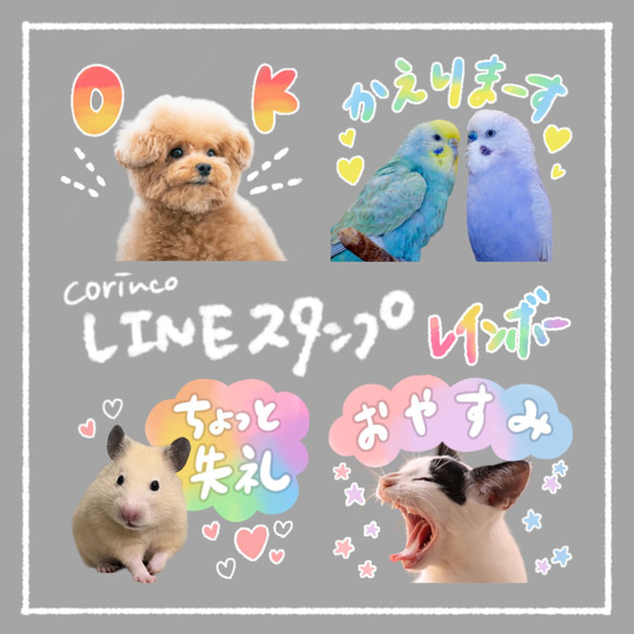 オリジナルLINEスタンプ｜64種類から選べる｜水彩｜レインボー｜ペット｜犬｜猫｜corinco