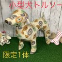 《1点もの》小型犬トルソーハス柄[送料込み]