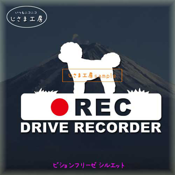 ビションフリーゼの白シルエットステッカー後方注意!!『DRIVE　RECORDER』