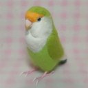 リアルサイズ  コザクラインコ  Lovebird 情侶鸚鵡 Real size 羊毛フェルト 羊毛フィギュア 鳥のオブジェ リアルバード 受注制作