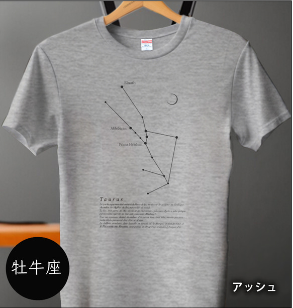 tシャツ　Tシャツ　星座Tシャツ　かわいいＴシャツ　半袖Tシャツ　プレゼント　おしゃれTシャツ　白ティー