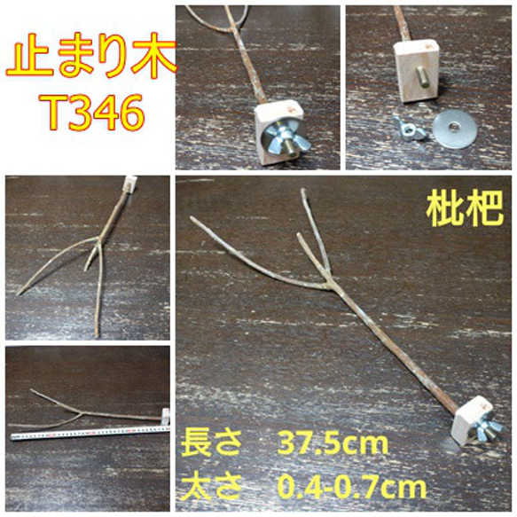 止まり木（枇杷：TOY-08-015）T346