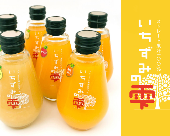 〈6本セット〉 ストレート果汁100%ジュース「いちずみの雫」200ml×6本【御祝・ギフト・贈り物】