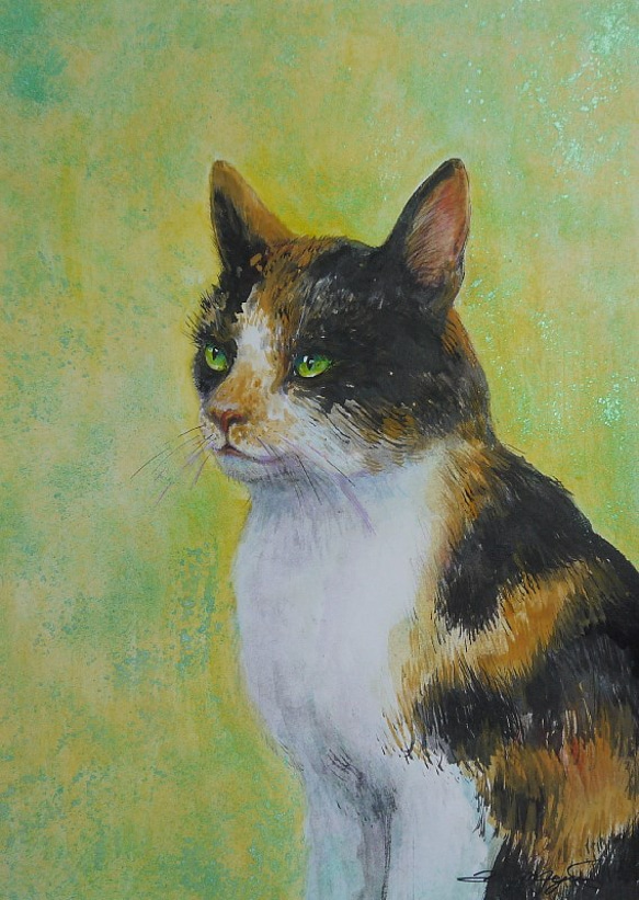 三毛猫２０１７（イラストボード２２ｃｍ×３０ｃｍ、水彩）