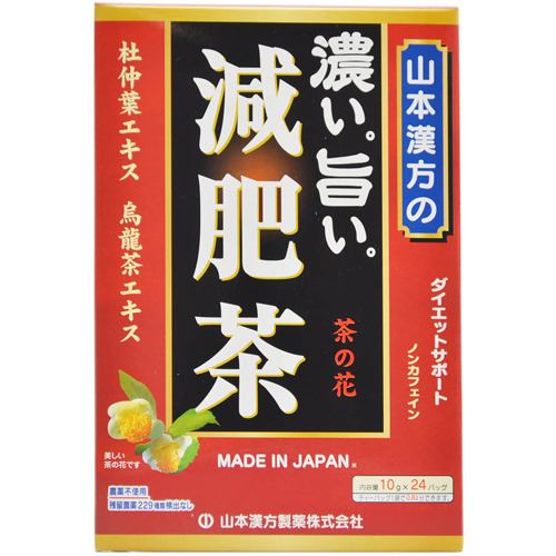 山本漢方製薬 山本漢方の濃い旨い減肥茶 (10g×24包) 【ダイエットサポート】