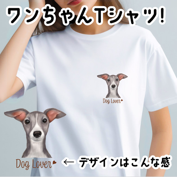 【 イタリアングレーハウンド 水彩画風 毛色4色】Tシャツ　おしゃれ　かわいい　犬　ペット　うちの子　プレゼント　ギフト