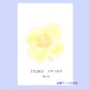 7月26日誕生花カード（花言葉つき）点描画