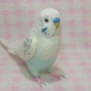 リアルサイズ♪ セキセイインコ 白ハルクイン系  budgie 虎皮鸚鵡 羊毛フィギュア 羊毛フェルト 鳥のオブジェ リアルバード 受注制作