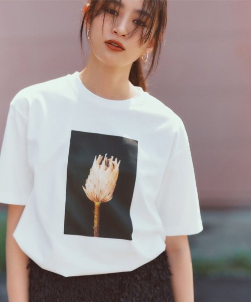 【カタログ掲載・洗える】PHOTO Tシャツ