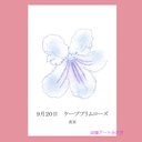 09月20日誕生花カード（花言葉つき）点描画