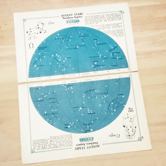 十二支星座 天文図版 8月 北半球 しし座 南半球 おとめ座 イギリス アンティークペーパー 星図 星座図 リトグラフ