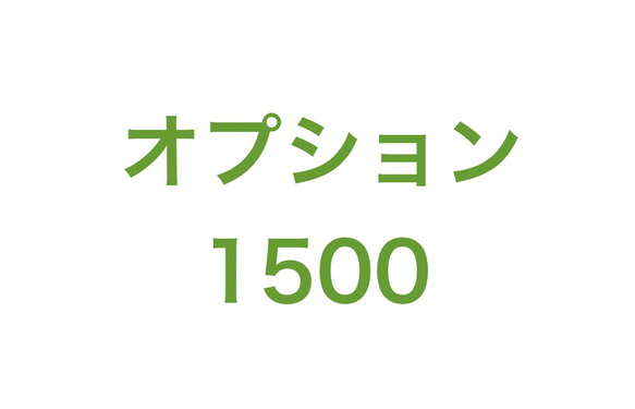 オプション1500