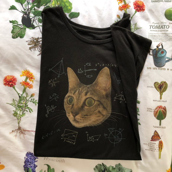 考える時、図書館で学ぶ時のTシャツ。