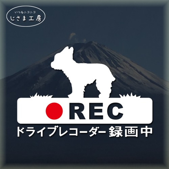 ヨークシャテリアの白シルエットステッカー煽り運転防止!!ドライブレコーダー録画中