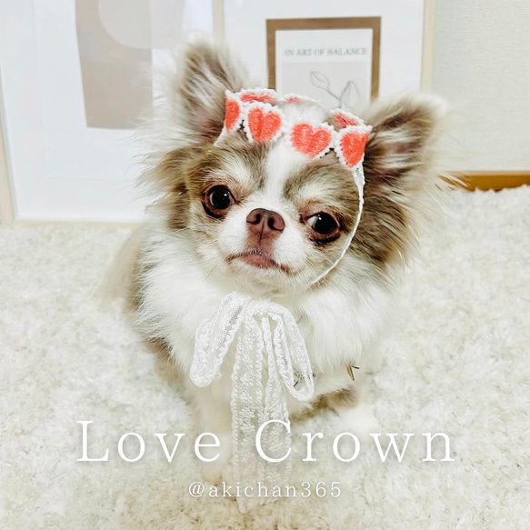 【Love Crown】ハート、100日、記念日、誕生日、ハーフバースデー、犬、ネコ