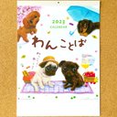 壁掛け カレンダー2023『わんことば』犬たちのイラストとメッセージが心にしみる（パグ・トイプードル・柴犬・チワワ・シュナウザー・ポメラニアン・フレンチブルドッグ・ヨーキー・コーギー・ビーグルまで！）