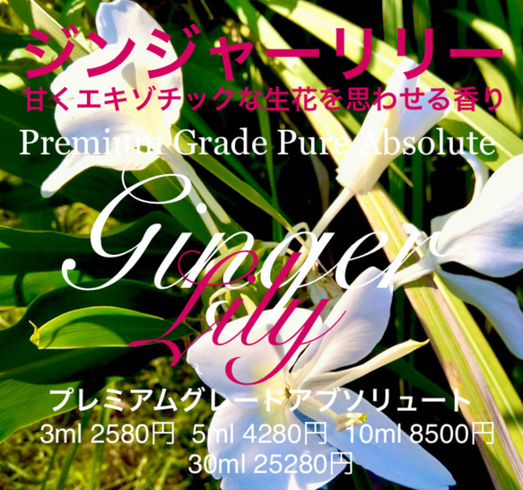 おすすめ✨☆エキゾチックな生花に近い香り☆ジンジャーリリーアブソリュート100ml（3ml/5ml/10ml販売中）