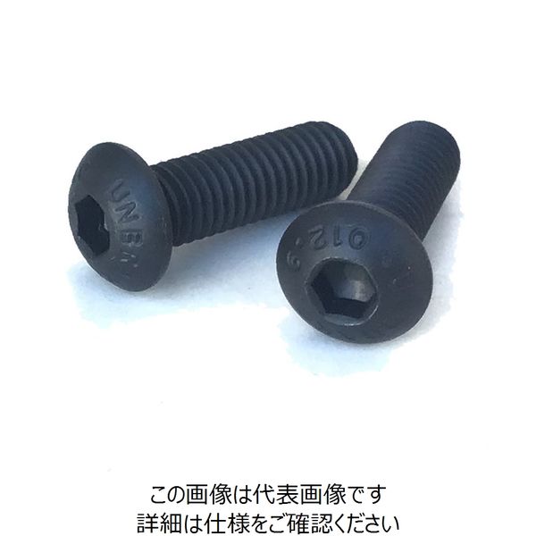 Unbrako アンブラコ ボタンCAP 1/4-20UNCX1 100本入 小箱 BH1/4NCX1-100B 1セット(100本)（直送品）