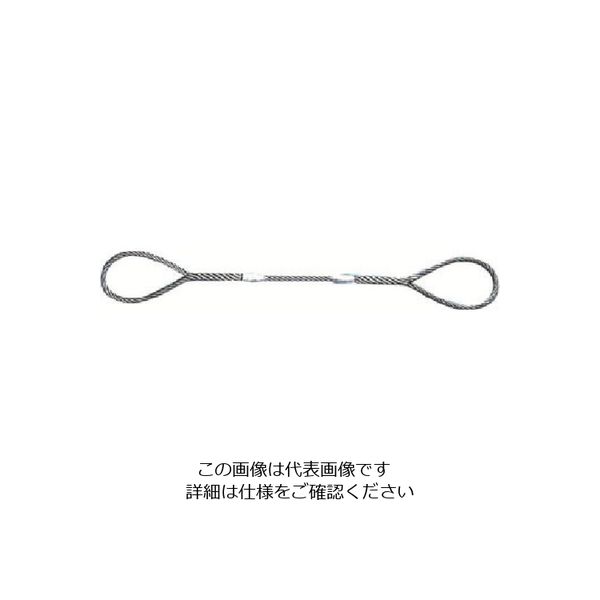 日興製綱 ニッコウ Wスリング（裸） 全長3m スリング径12mm W12-3H 1セット（5個） 815-7435（直送品）