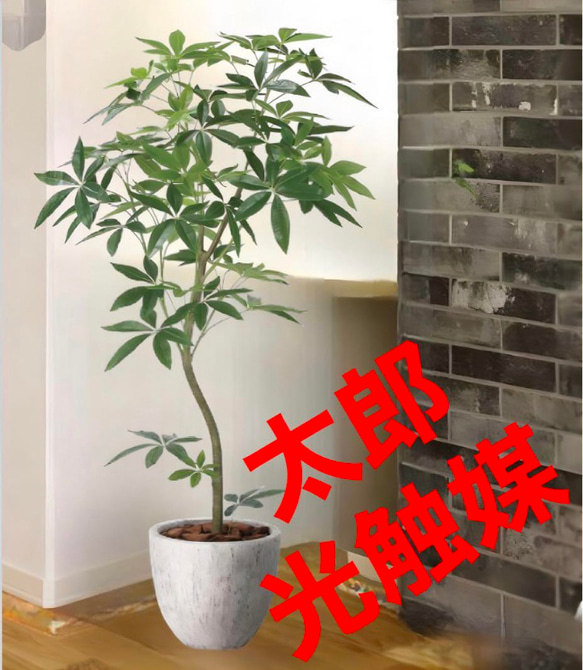 光触媒　人工観葉植物　ウォールグリーン　フェイクグリーン　ナチュラルパキラ1.6