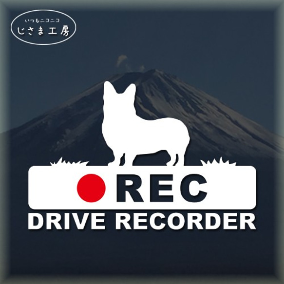 ウエルシュコーギーの白シルエットステッカー後方注意!!『DRIVE　RECORDER』