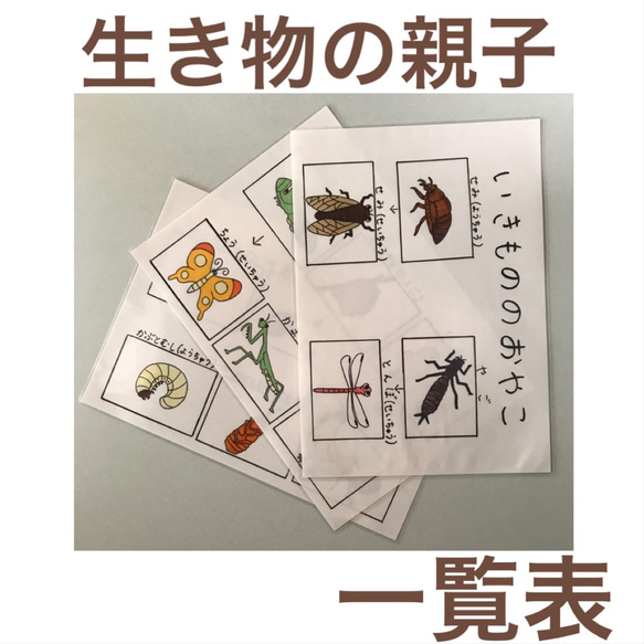 小学校受験 生き物の親子表