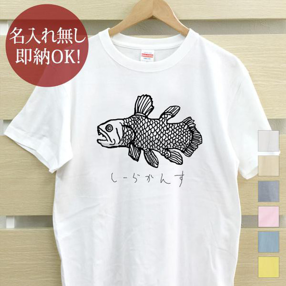 シーラカンス 古代魚 魚  レディース メンズ Tシャツ おもしろTシャツ 綿100% 選べるカラー7色 即納