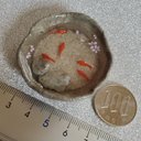 ミニチュア金魚  手びねり 春桜   小 5匹