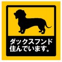 玄関 マグネットステッカー ダックスフンド住んでます