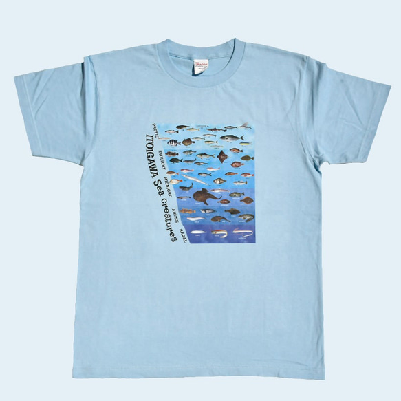 【送料無料】「糸魚川魚図鑑」キッズサイズ　いといがわTシャツコレクション