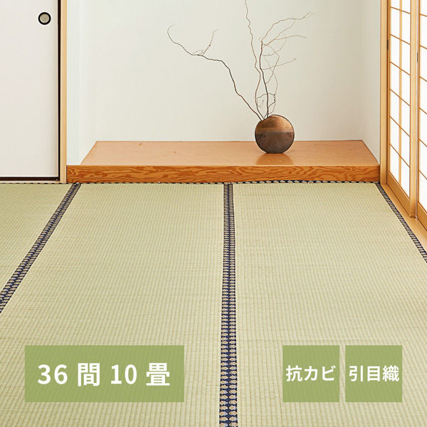 【玄関渡し】 萩原 い草カーペット　谷川（たにがわ）　36間10畳  364×455cm（直送品）