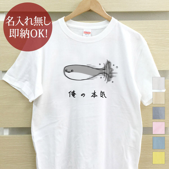 俺の本気 サカバンパスピス 魚 レディース メンズ Tシャツ おもしろTシャツ 綿100% カラー7色 即納