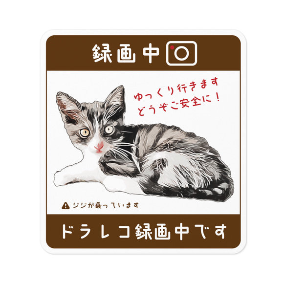 「ドラレコ録画中」愛猫ステッカー(ブラウン) 作れます！【オーダーメイド】送料無料！ うちの子 オリジナル 日本語版