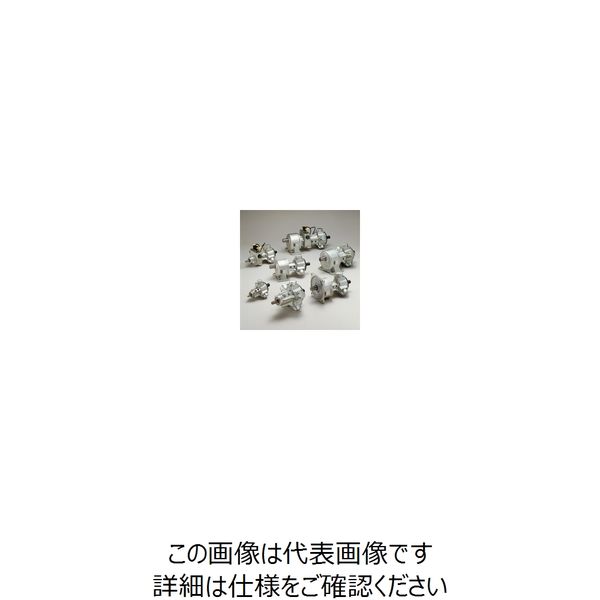 TAIYO エアーモータ TAM4ー030LG005 TAM4-030LG005 1個（直送品）