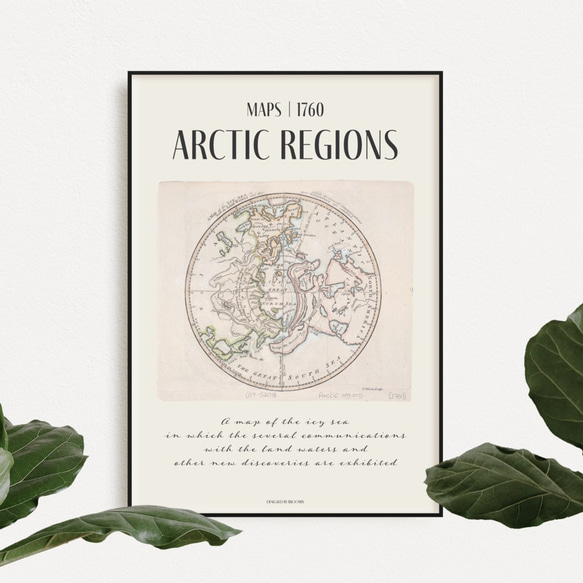 ARCTIC REGIONS | AP004 | アートポスター 北極地図 モダン 韓国インテリア お洒落