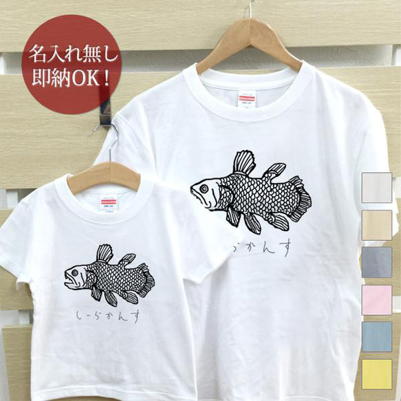 シーラカンス 魚 親子ペアTシャツセット おもしろTシャツ 綿100% 選べるカラー7色 即納