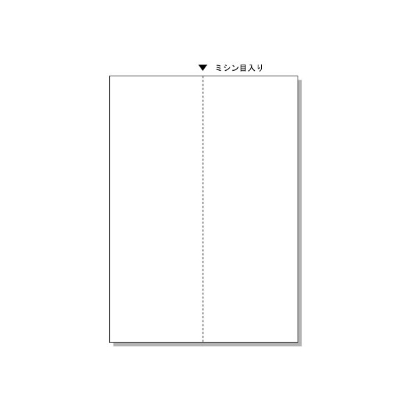 ヒサゴ マルチプリンタ帳票 A4 たて2面 100枚 FC91577-BP2073