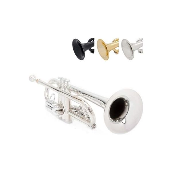 Warwick Music トランペット PTRUMPET1HTS / SILVER 1箱(1個入)（直送品）