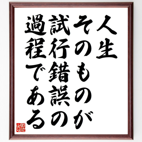 名言「人生そのものが、試行錯誤の過程である」額付き書道色紙／受注後直筆（Y7145）