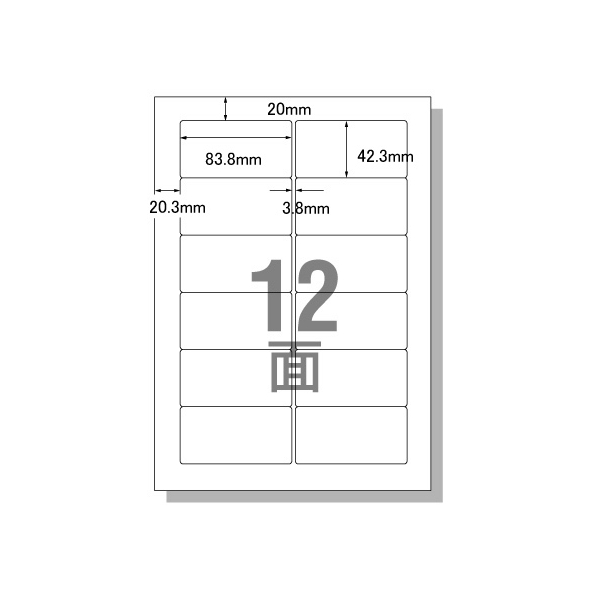 エーワン PC&ワープロラベルOASYSタイプ A4 12面 20枚 F805980-28175