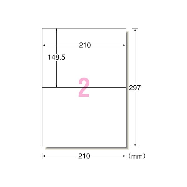 エーワン ラベルシール A4 2面 22枚 F801362-72202