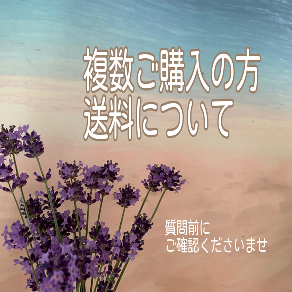 質問前に　ミニポーチ ミニ巾着　カバン等の複数ご購入の際　※配送方法※を必ずご確認よろしくお願い致します