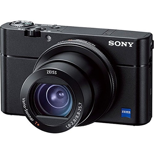 ソニー デジタルスチルカメラ「DSC-RX100M5」SONY　Cyber-shot(サイバーショット)　RX100V DSC-RX100M5【中古品】