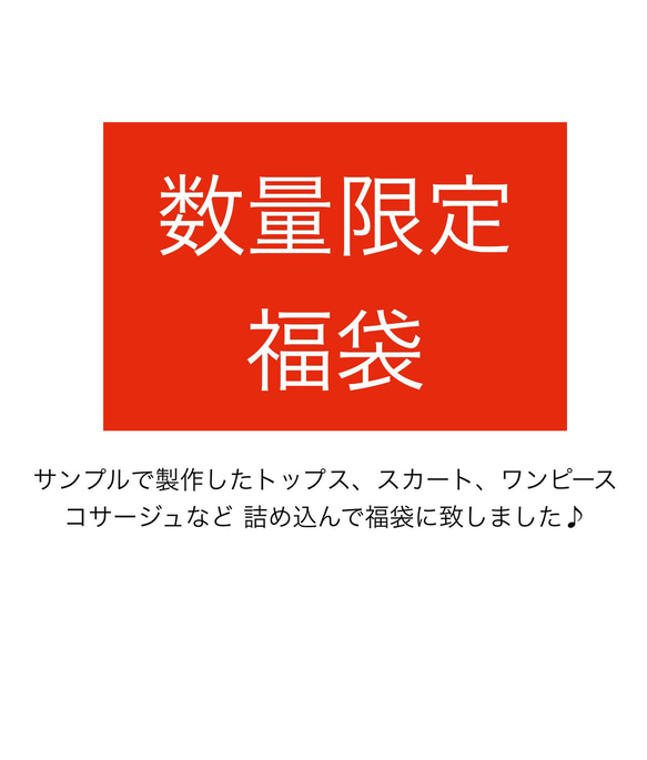 ♪クリーマ限定 夏の福袋 Bタイプ♪おまかせミックスカラーコーディネート♪