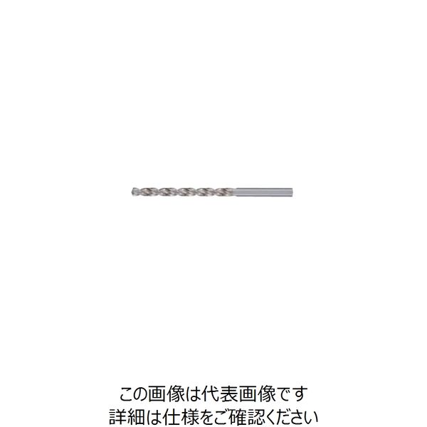 グーリングジャパン（GUHRING） HSS-ストレートドリル #219 219 10 1セット（2本）（直送品）