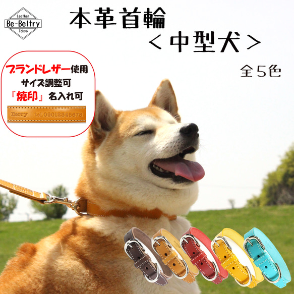 【送料無料】本革首輪〈中型犬〉幅２１ｍｍ　首回り～４０cm(長さ選択可) レザー　青 赤 黄 キャメル 茶 チョコ 色