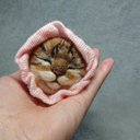 猫8◎くつ下子ねこ キジトラ◎ヒラヒラ靴下にすっぽり子猫 羊毛フェルト ネコ 猫雑貨 置物